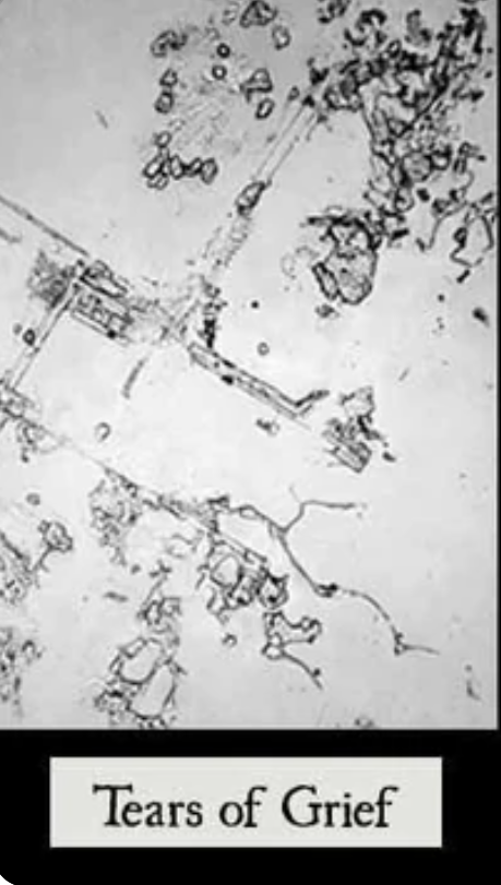 Tears of grief under a microscope show long lines and right angles with little shapes scattered throughout.